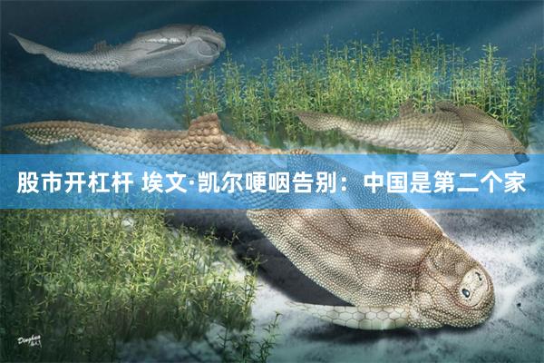 股市开杠杆 埃文·凯尔哽咽告别：中国是第二个家
