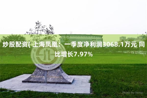 炒股配资( 上海凤凰：一季度净利润3068.1万元 同比增长7.97%