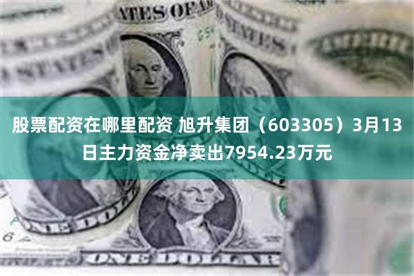股票配资在哪里配资 旭升集团（603305）3月13日主力资金净卖出7954.23万元