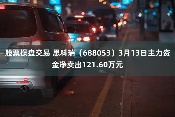 股票操盘交易 思科瑞（688053）3月13日主力资金净卖出121.60万元