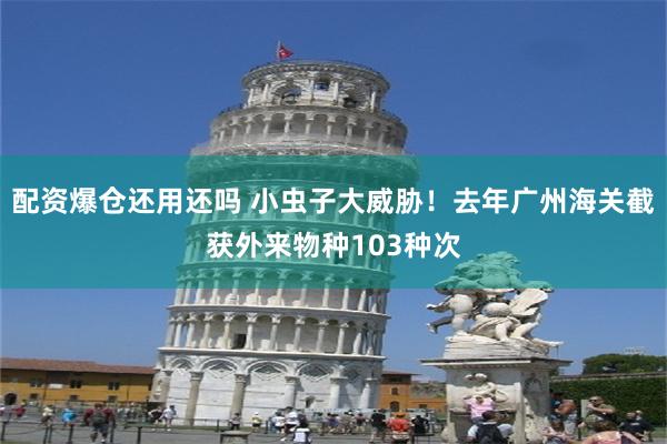 配资爆仓还用还吗 小虫子大威胁！去年广州海关截获外来物种103种次