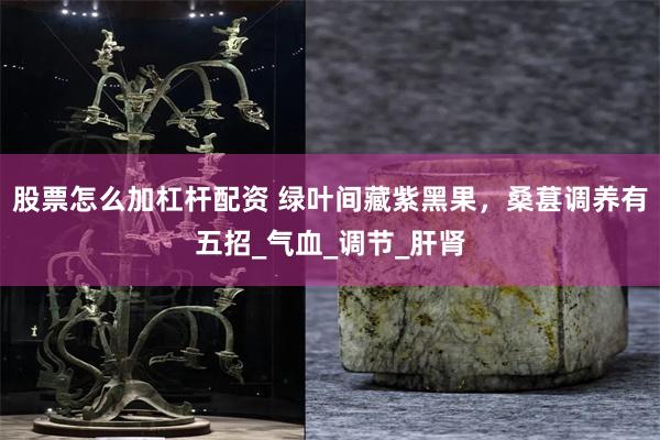 股票怎么加杠杆配资 绿叶间藏紫黑果，桑葚调养有五招_气血_调节_肝肾