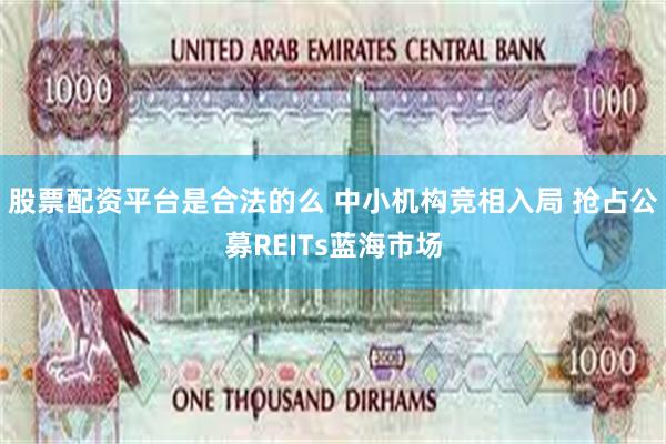 股票配资平台是合法的么 中小机构竞相入局 抢占公募REITs蓝海市场